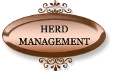 Herd Management